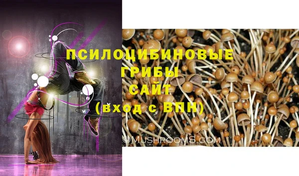 круглые Алексин