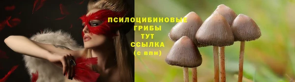 круглые Алексин